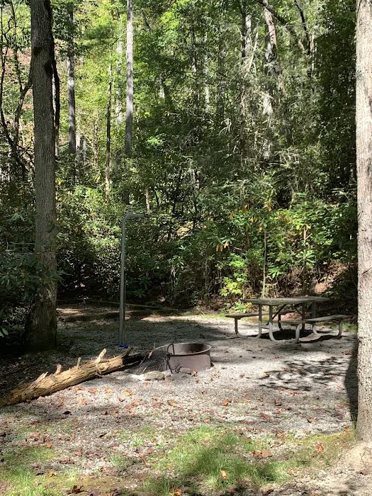 Blue Valley Roadside Camping Picture 4