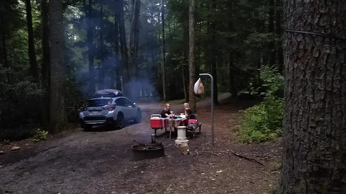Blue Valley Roadside Camping Picture 5