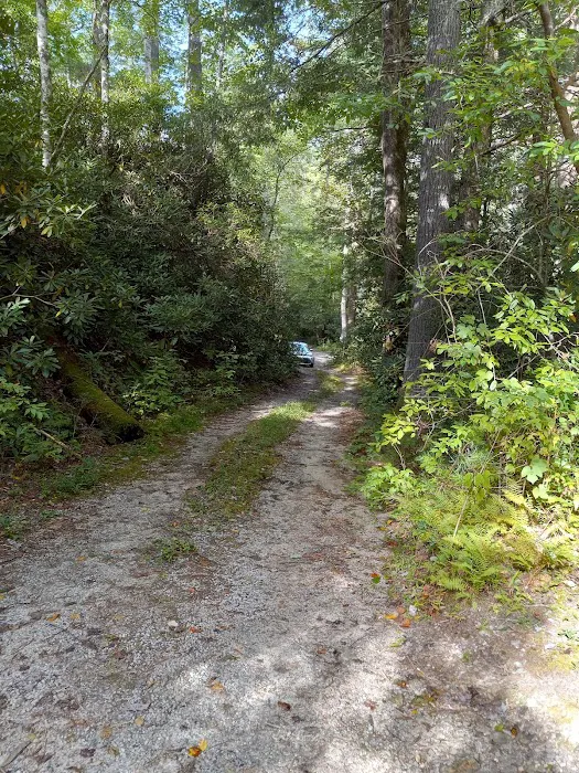 Blue Valley Campground Picture 3