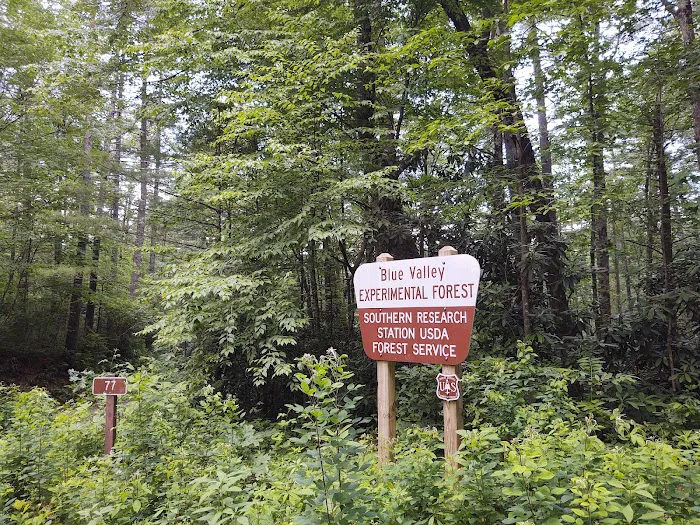 Blue Valley Campground Picture 9