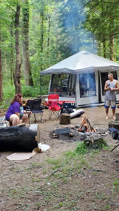 Sarah's Creek Campground Picture 1