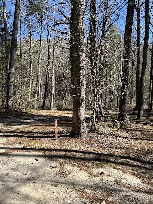 Sarah's Creek Campground Picture 3