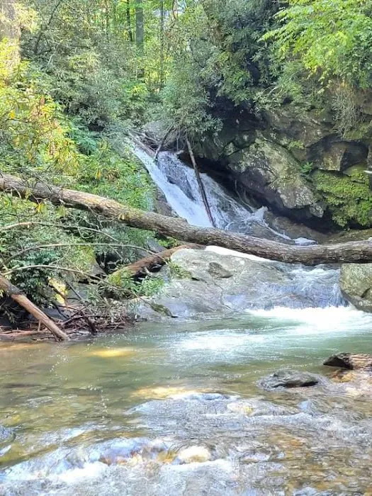 Sarah's Creek Campground Picture 7