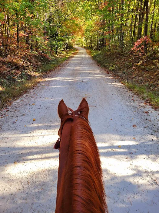 Whetstone Horse Campground Picture 7