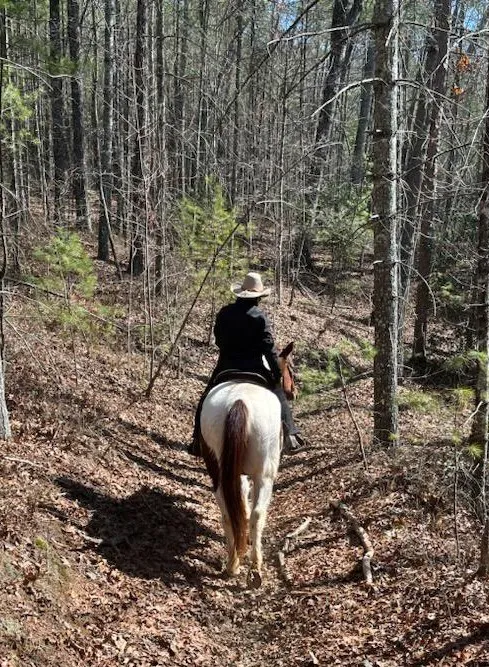 Whetstone Horse Campground Picture 9