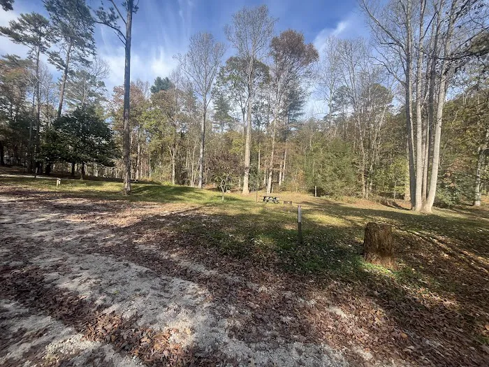 Whetstone Horse Campground Picture 8