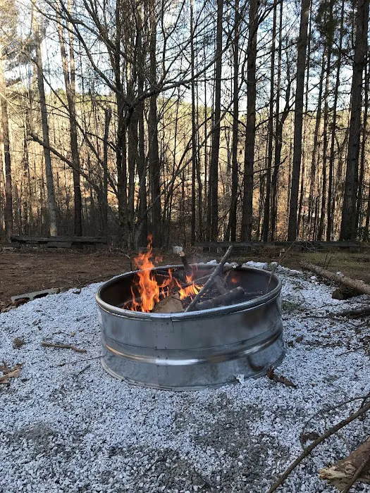 Tiger Mountain RV Camping & Cabins Picture 7