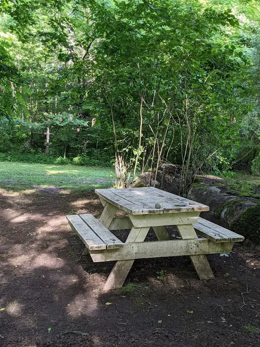 Trout Creek Campground Picture 2