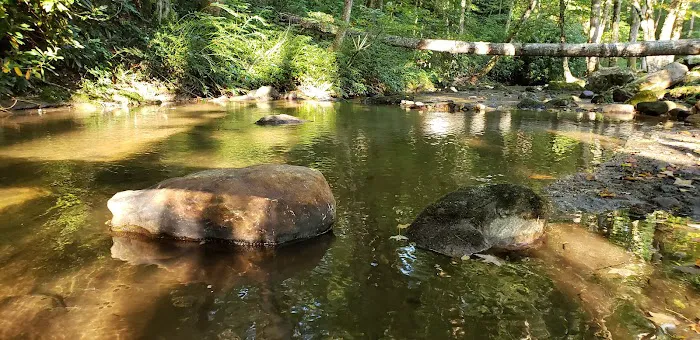 Trout Creek Campground Picture 5