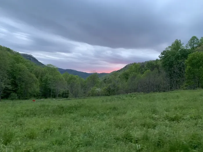 Trout Creek Campground Picture 6