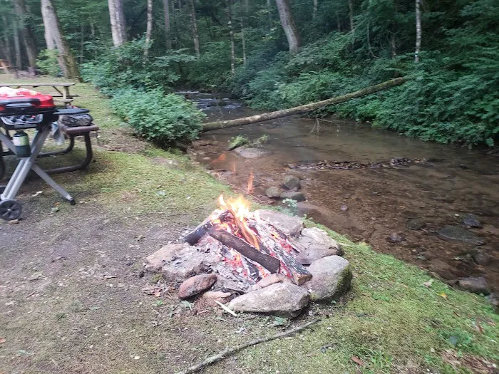 Trout Creek Campground Picture 7