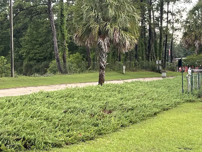 Big Cypress Lake RV Park Picture 8