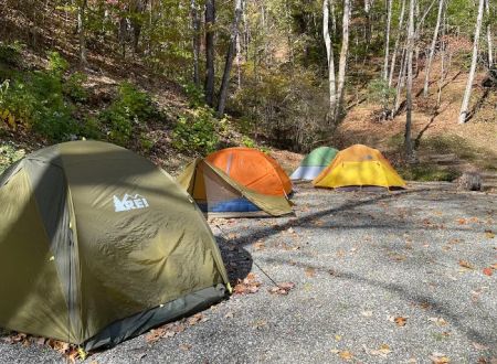 Cane Creek Holler
