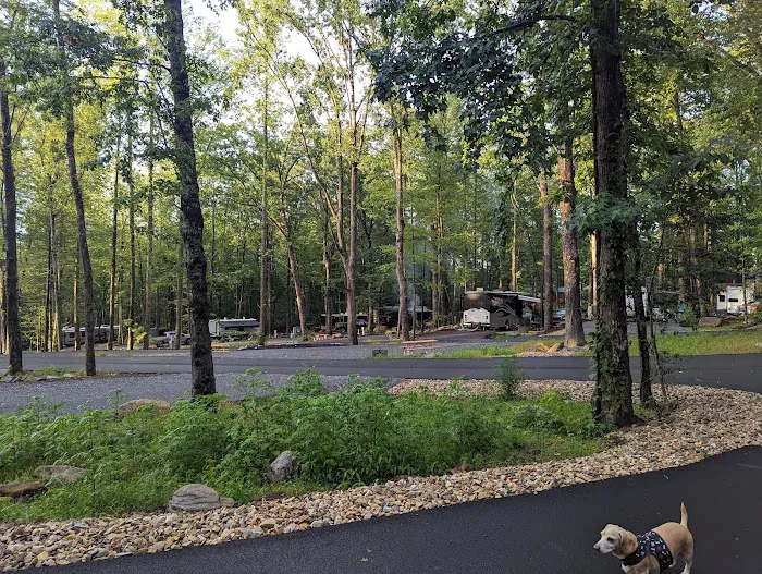 Gatlinburg East / Smoky Mountain KOA Holiday Picture 6
