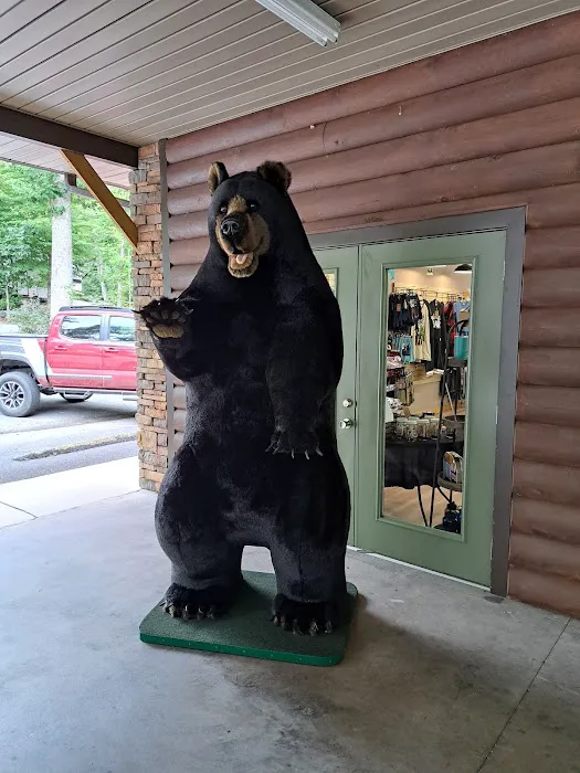 Gatlinburg East / Smoky Mountain KOA Holiday Picture 10