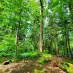 Backcountry Campsite #34