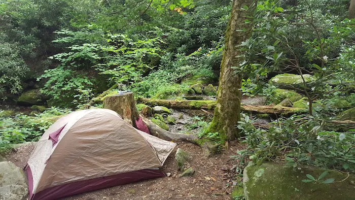 Backcountry Campsite #34 Picture 9