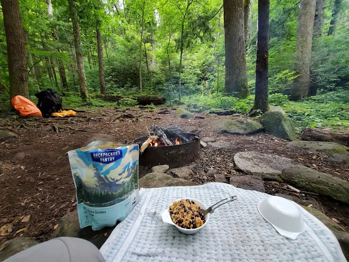 Backcountry Campsite #34 Picture 10