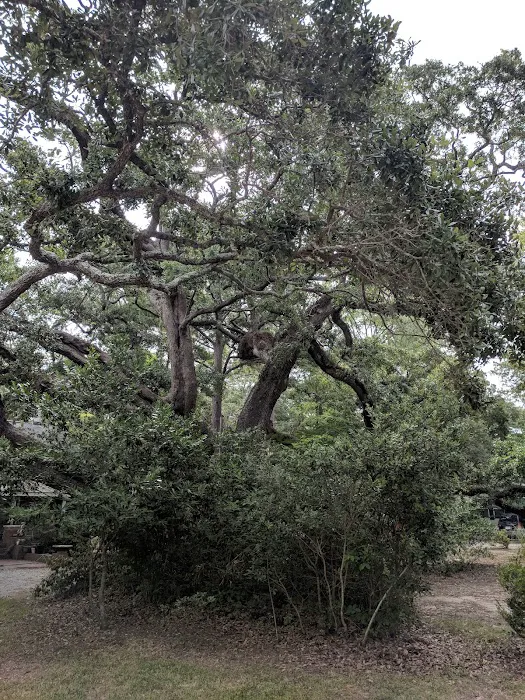 Waterford Oaks Picture 5