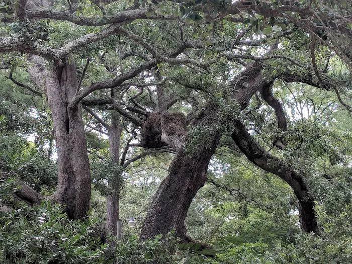 Waterford Oaks Picture 10