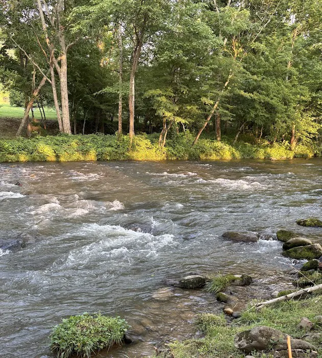 River Cove Campground Picture 2
