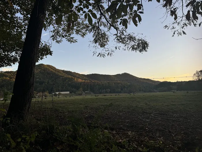 River Cove Campground Picture 4