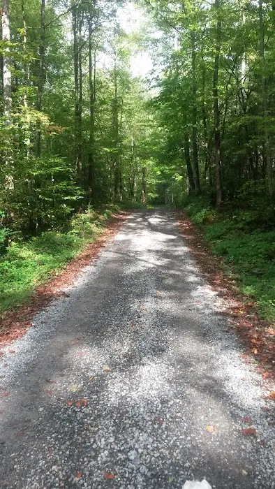 Big Rig Campground Picture 1
