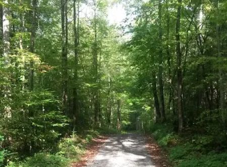 Big Rig Campground