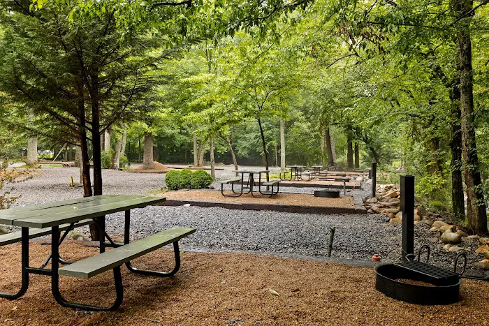 Roamstead Smoky Mountains Campground Picture 7