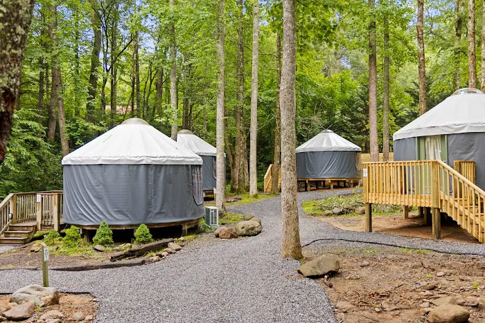 Roamstead Smoky Mountains Campground Picture 5