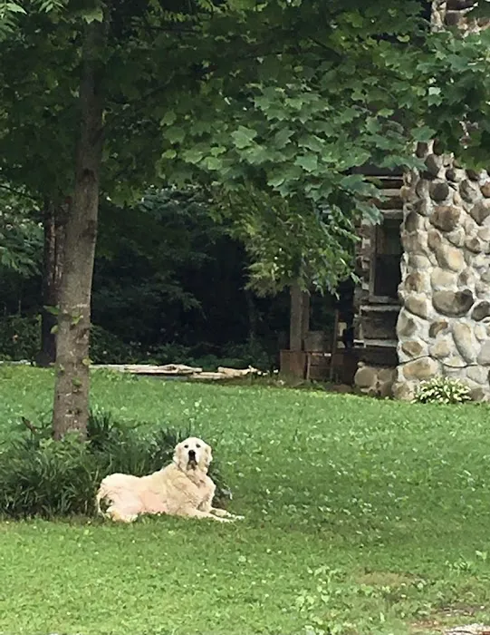 Skip A Stone Farm Picture 6