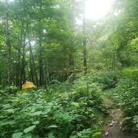 Backcountry Campsite #29 ico