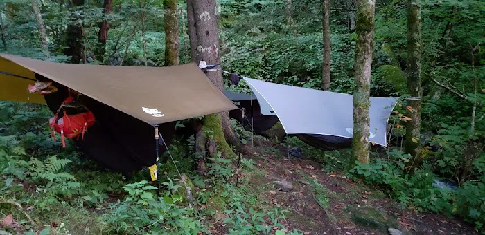 Backcountry Campsite #29 Picture 4