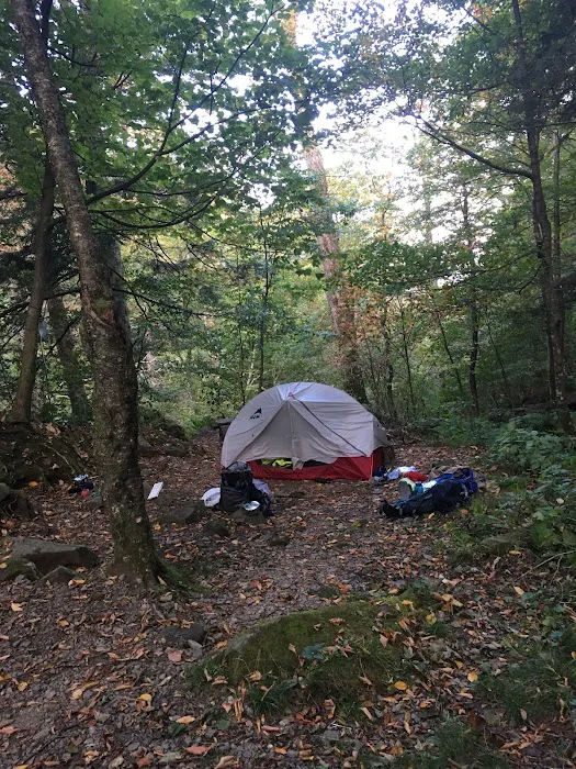 Backcountry Campsite #29 Picture 6