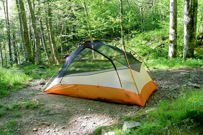 Backcountry Campsite #29 Picture 5