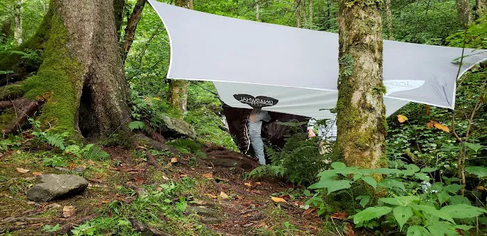 Backcountry Campsite #29 Picture 9
