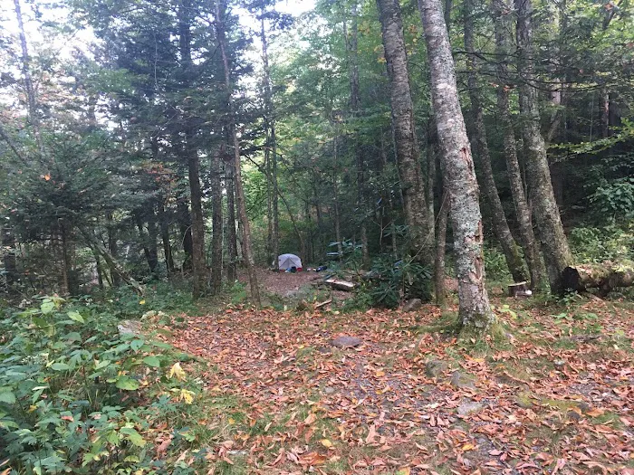 Backcountry Campsite #29 Picture 7