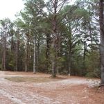 Blue Rock Campground & RV Park
