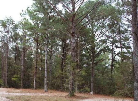 Blue Rock Campground & RV Park