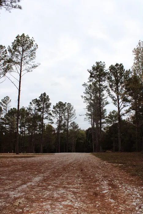 Blue Rock Campground & RV Park Picture 2