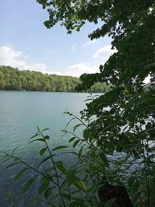 Norris Dam East Campgrounds Picture 7