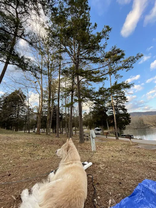 Cove Lake State Park Campground Picture 9