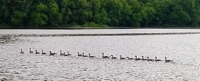Cove Lake State Park Campground Picture 10