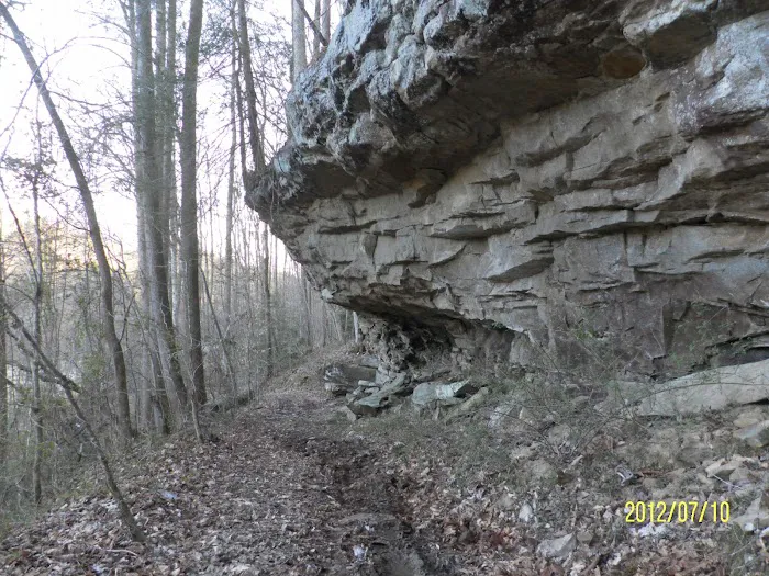 Patrick's Point River Camp Picture 6