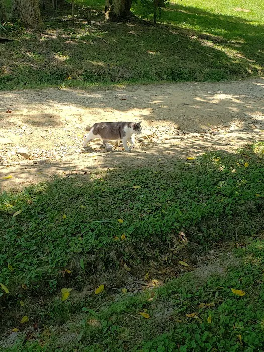 Clayton Geneva Memorial Campground Picture 8