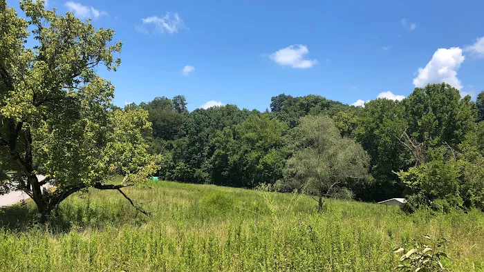 Low Meadow Farms Picture 9
