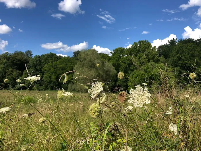 Low Meadow Farms Picture 8