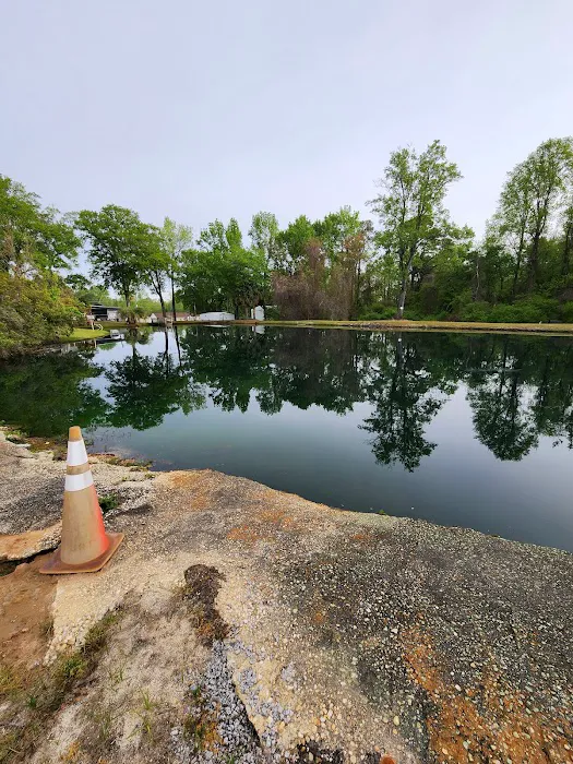 Mr. Tommy's Campground Picture 3