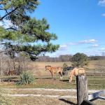 Country Livin RV Park