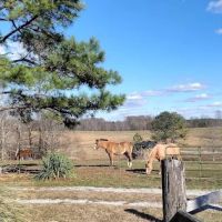 Country Livin RV Park ico